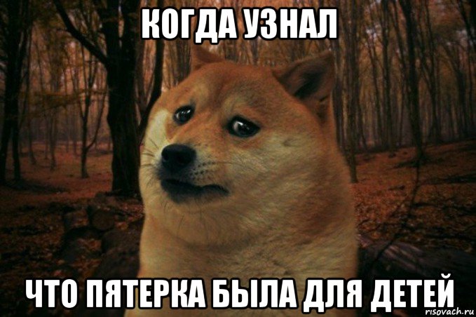 когда узнал что пятерка была для детей, Мем SAD DOGE