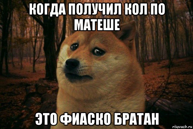 когда получил кол по матеше это фиаско братан, Мем SAD DOGE