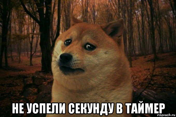  не успели секунду в таймер, Мем SAD DOGE