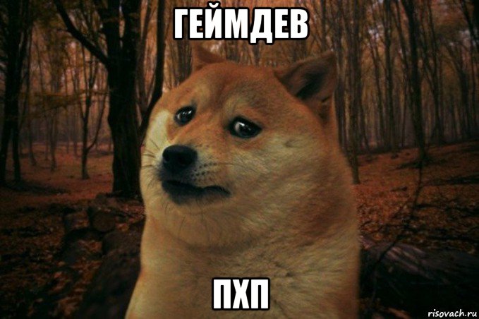 геймдев пхп, Мем SAD DOGE