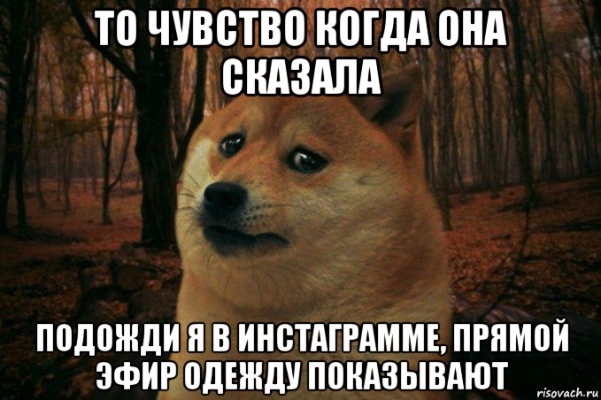 то чувство когда она сказала подожди я в инстаграмме, прямой эфир одежду показывают, Мем SAD DOGE