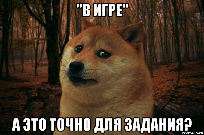 "в игре" а это точно для задания?, Мем SAD DOGE