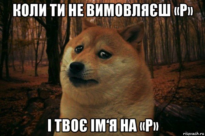 коли ти не вимовляєш «р» і твоє ім‘я на «р», Мем SAD DOGE