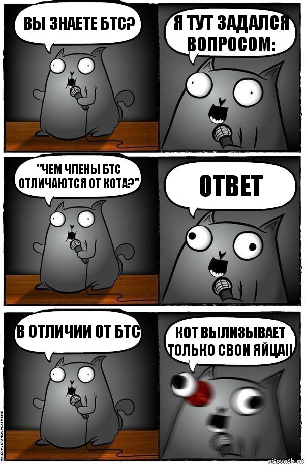 Вы знаете БТС? Я тут задался вопросом: "Чем члены БТС отличаются от кота?" Ответ В отличии от БТС Кот вылизывает только свои яйца!!, Комикс  Стендап-кот