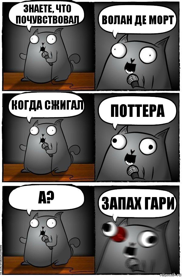 Знаете, что почувствовал Волан Де Морт Когда сжигал Поттера А? Запах гари, Комикс  Стендап-кот