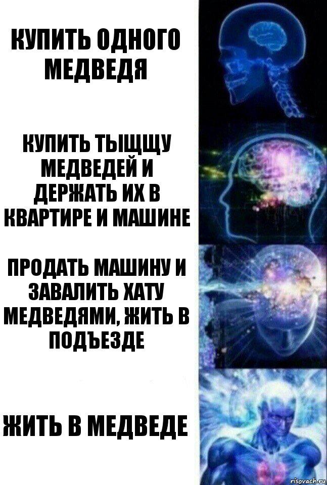 Купить одного медведя Купить тыщщу медведей и держать их в квартире и машине Продать машину и завалить хату медведями, жить в подъезде жить в медведе, Комикс  Сверхразум