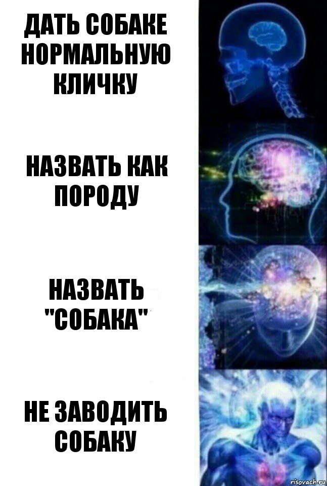 Дать собаке нормальную кличку Назвать как породу Назвать "собака" Не заводить собаку, Комикс  Сверхразум