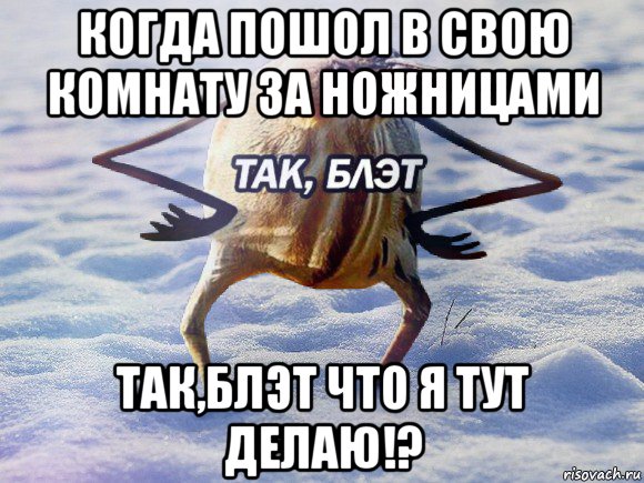 когда пошол в свою комнату за ножницами так,блэт что я тут делаю!?