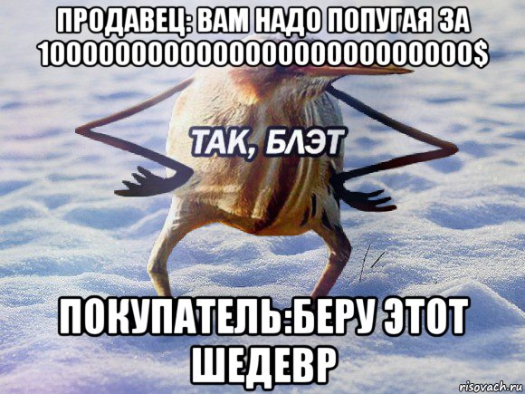 продавец: вам надо попугая за 100000000000000000000000000$ покупатель:беру этот шедевр, Мем  Так блэт птица с руками