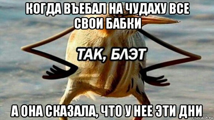 когда въебал на чудаху все свои бабки а она сказала, что у нее эти дни, Мем  Так блэт