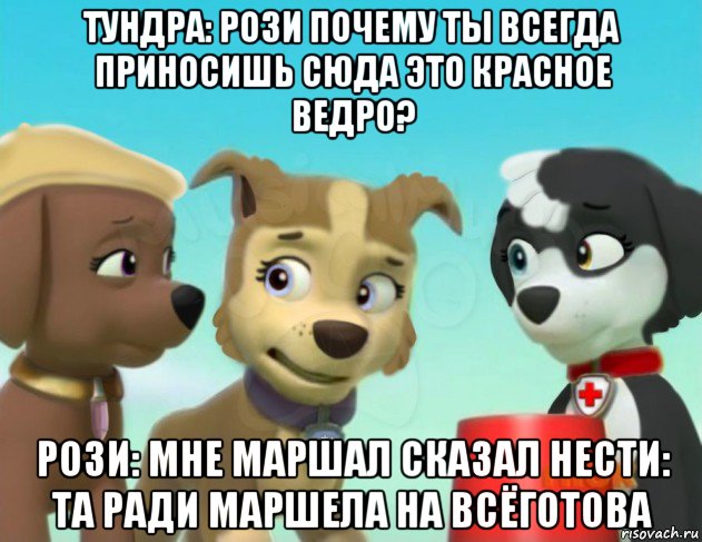 тундра: рози почему ты всегда приносишь сюда это красное ведро? рози: мне маршал сказал нести: та ради маршела на всёготова