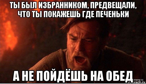 ты был избранником, предвещали, что ты покажешь где печеньки а не пойдёшь на обед, Мем ты был мне как брат