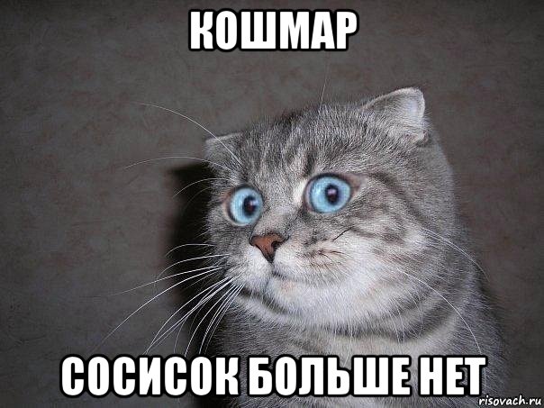 кошмар сосисок больше нет, Мем  удивлённый кот