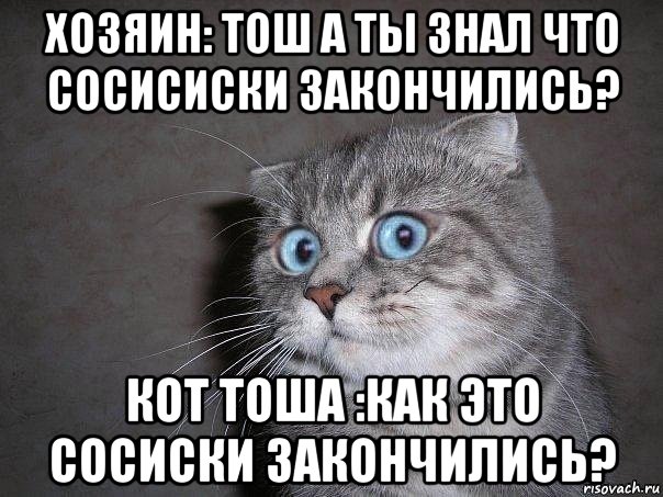 хозяин: тош а ты знал что сосисиски закончились? кот тоша :как это сосиски закончились?, Мем  удивлённый кот