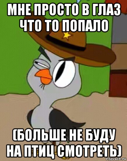 мне просто в глаз что то попало (больше не буду на птиц смотреть), Мем    Упоротая сова