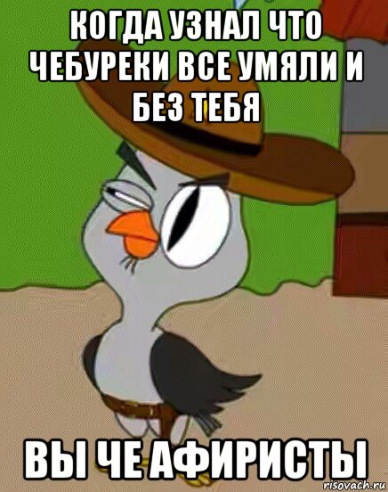 когда узнал что чебуреки все умяли и без тебя вы че афиристы, Мем    Упоротая сова