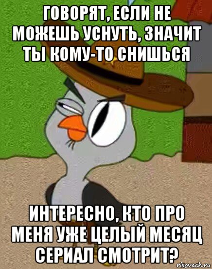 говорят, если не можешь уснуть, значит ты кому-то снишься интересно, кто про меня уже целый месяц сериал смотрит?, Мем    Упоротая сова