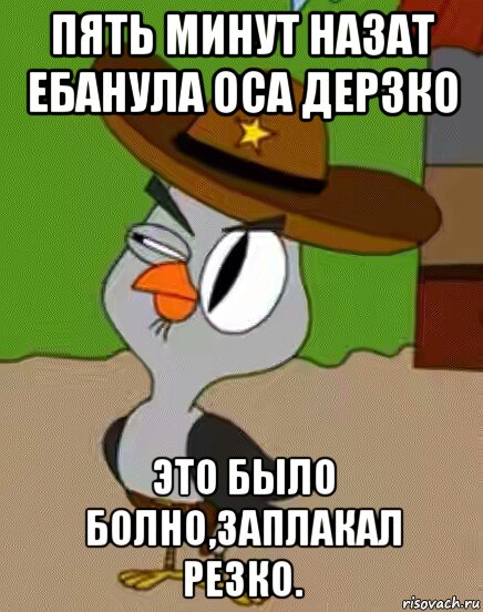 пять минут назат ебанула оса дерзко это было болно,заплакал резко., Мем    Упоротая сова