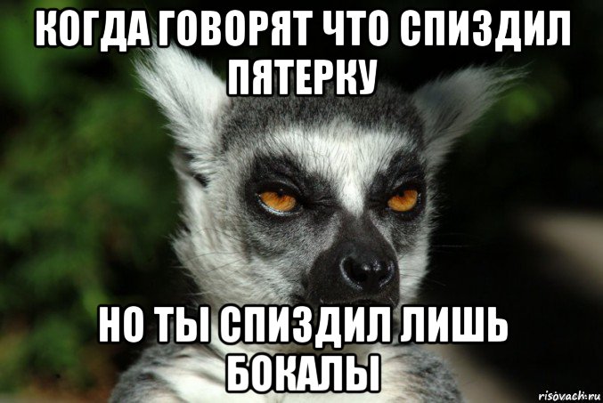 когда говорят что спиздил пятерку но ты спиздил лишь бокалы, Мем   Я збагоен