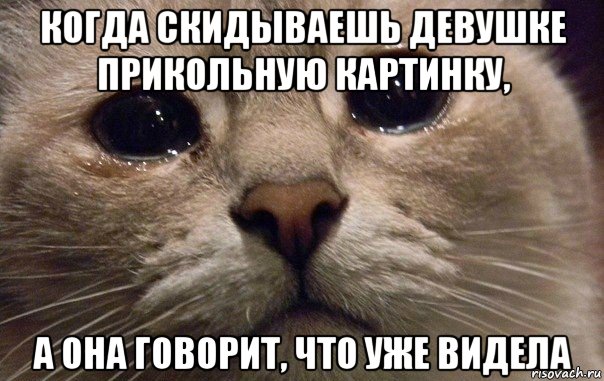 когда скидываешь девушке прикольную картинку, а она говорит, что уже видела, Мем   В мире грустит один котик