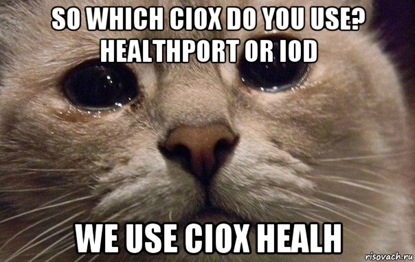 so which ciox do you use? healthport or iod we use ciox healh, Мем   В мире грустит один котик