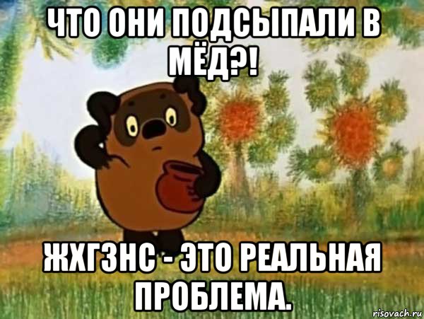 что они подсыпали в мёд?! жхгзнс - это реальная проблема., Мем Винни пух чешет затылок