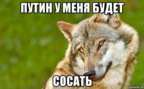 путин у меня будет сосать, Мем   Volf