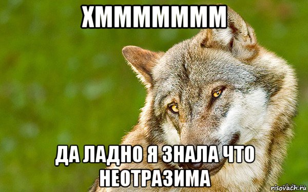 хммммммм да ладно я знала что неотразима, Мем   Volf