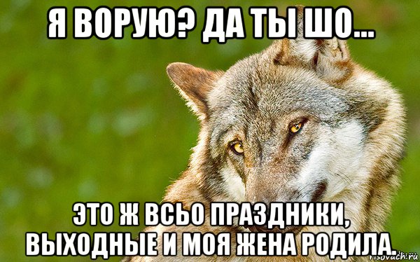 я ворую? да ты шо... это ж всьо праздники, выходные и моя жена родила., Мем   Volf