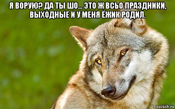 я ворую? да ты шо... это ж всьо праздники, выходные и у меня ёжик родил. , Мем   Volf