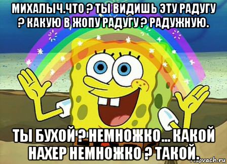 михалыч.что ? ты видишь эту радугу ? какую в жопу радугу ? радужную. ты бухой ? немножко... какой нахер немножко ? такой., Мем Воображение (Спанч Боб)