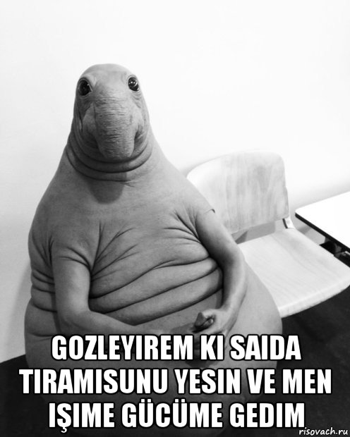  gozleyirem ki saida tiramisunu yesin ve men işime gücüme gedim, Мем  Ждун