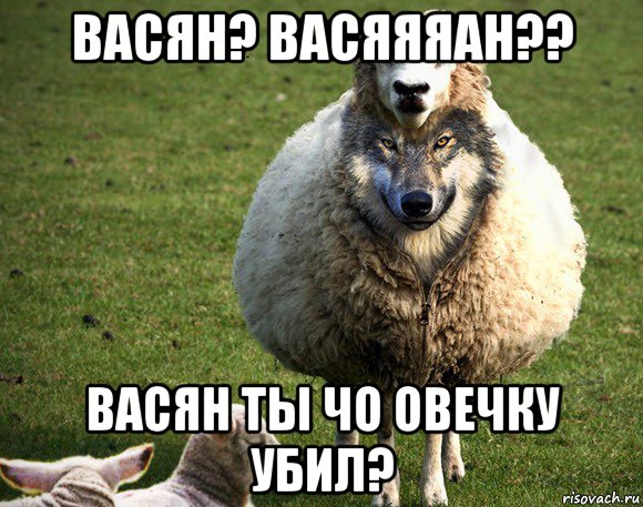 васян? васяяяан?? васян ты чо овечку убил?, Мем Злая Овца