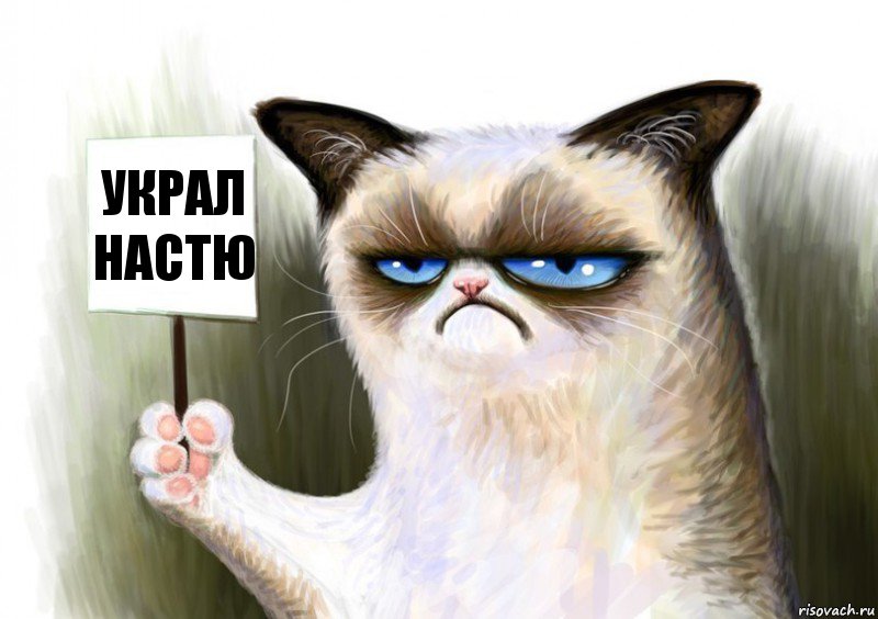 Украл Настю, Комикс Сварливый кот с табличкой