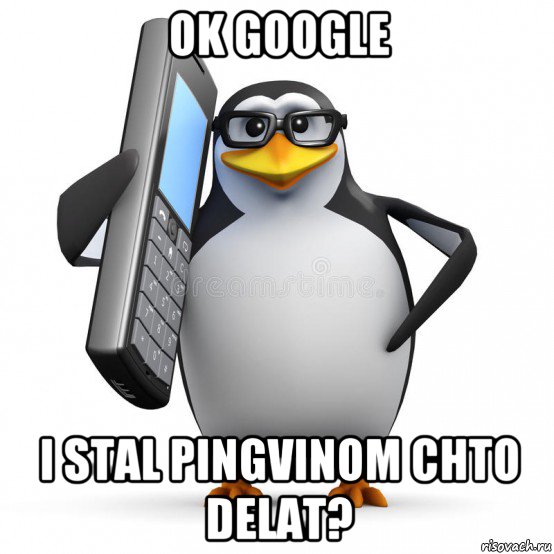 ok google i stal pingvinom chto delat?, Мем  88005553535