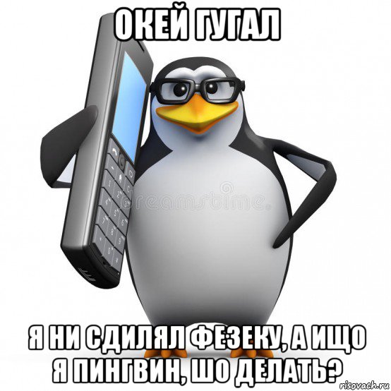 окей гугал я ни сдилял фезеку, а ищо я пингвин, шо делать?