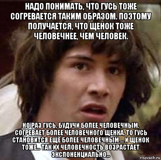 надо понимать, что гусь тоже согревается таким образом. поэтому получается, что щенок тоже человечнее, чем человек. но раз гусь, будучи более человечным, согревает более человечного щенка, то гусь становится ещё более человечным ... и щенок тоже... так их человечность возрастает экспоненциально..., Мем А что если (Киану Ривз)