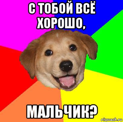 с тобой всё хорошо, мальчик?, Мем Advice Dog