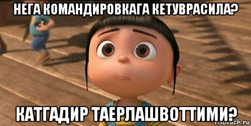 нега командировкага кетуврасила? катгадир таерлашвоттими?, Мем    Агнес Грю