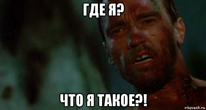 где я? что я такое?!