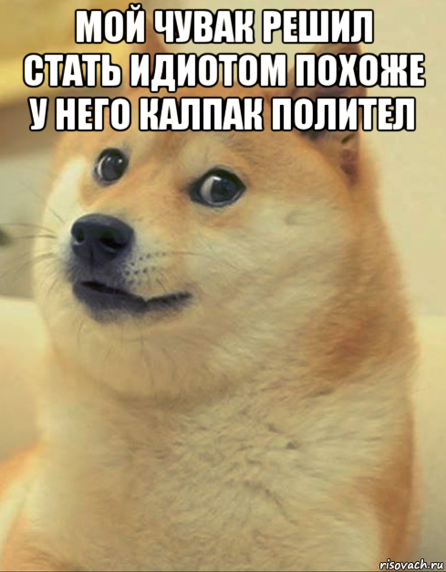 мой чувак решил стать идиотом похоже у него калпак полител , Мем doge woof