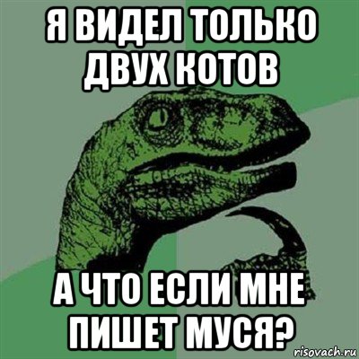 я видел только двух котов а что если мне пишет муся?, Мем Филосораптор