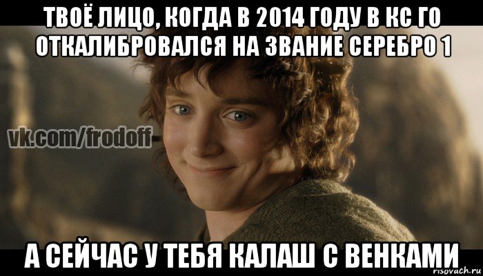 твоё лицо, когда в 2014 году в кс го откалибровался на звание серебро 1 а сейчас у тебя калаш с венками