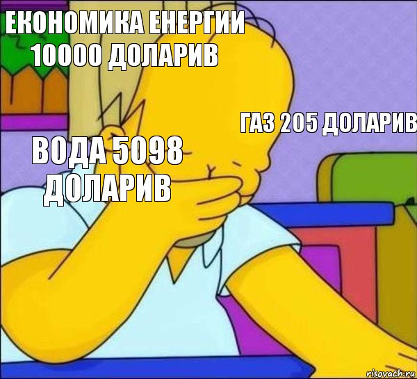 економика енергии 10000 доларив газ 205 доларив вода 5098 доларив   , Комикс   Гомер фэйспалм