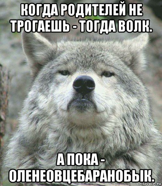 когда родителей не трогаешь - тогда волк. а пока - оленеовцебаранобык., Мем    Гордый волк