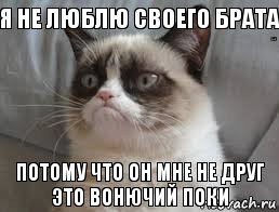 я не люблю своего брата своего брата потому что он мне не друг это вонючий поки  