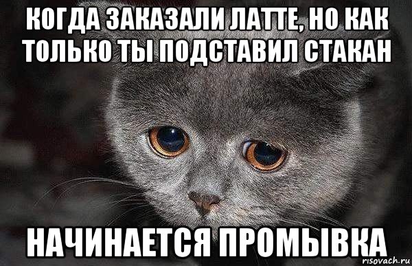 когда заказали латте, но как только ты подставил стакан начинается промывка, Мем  Грустный кот