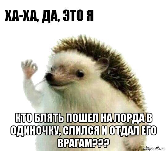  кто блять пошел на лорда в одиночку, слился и отдал его врагам???, Мем Ха-ха да это я