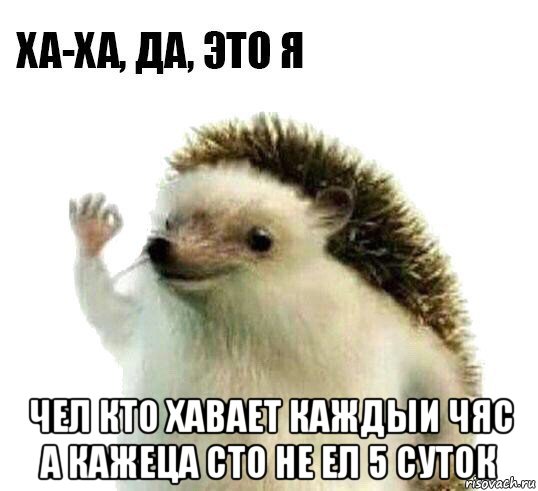  чел кто хавает каждыи чяс а кажеца сто не ел 5 суток, Мем Ха-ха да это я