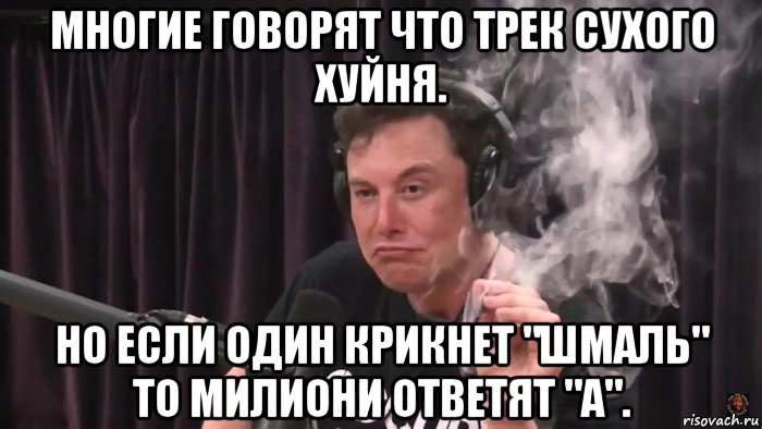 многие говорят что трек сухого хуйня. но если один крикнет "шмаль" то милиони ответят "а"., Мем Илон Маск